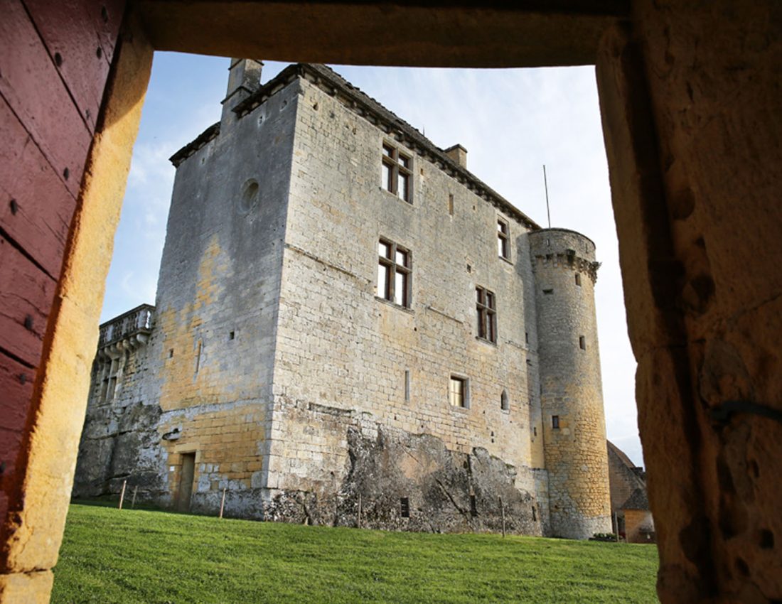 Chateau Fenelon Dordogne Perigord photo Donjon